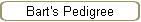 Bart's Pedigree