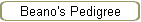 Beano's Pedigree