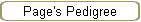 Page's Pedigree