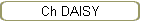 Ch DAISY