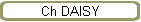 Ch DAISY
