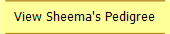 View Sheema's Pedigree