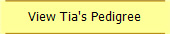 View Tia's Pedigree