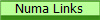 Numa Links