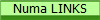Numa LINKS