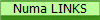 Numa LINKS